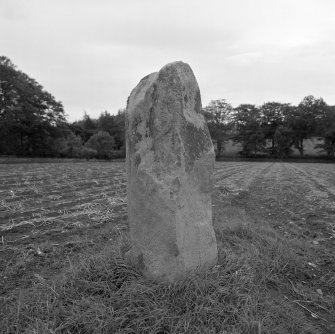 The South-West stone viewed from South.