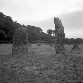 Carse, Standing Stones. General view.