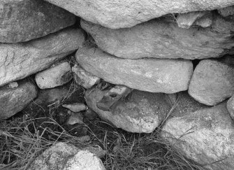 Blackhouse C, Village.
View of South building interior ?, tethering ring.