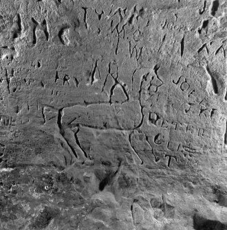 Incised horse and rider on SW wall, King's Cave, Arran.