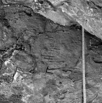 Ogham inscription on NW wall, King's Cave, Arran.