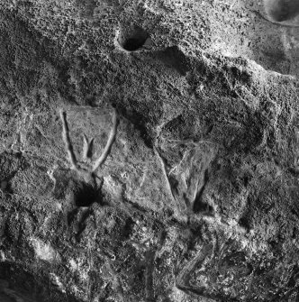 Incised 'shields' on SE wall, King's Cave, Arran.