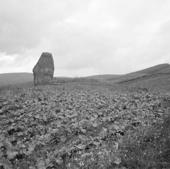 Knowhead Standing Stones.