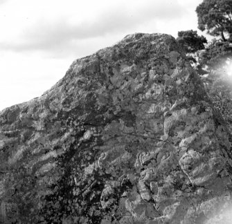 Close-up photograph of the Boar Stone.