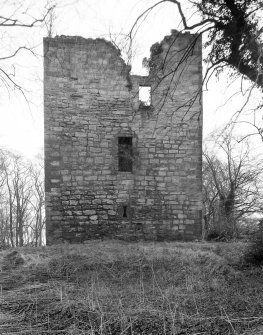 Cathcart Castle, from north west.