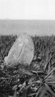 Cross slab, Berneray.