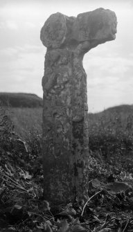 Sculptured cross, A 'Chill, Canna. No. 28