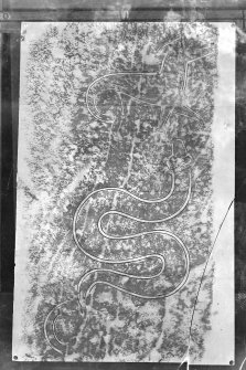 Photographic copy of rubbing showing detail from the reverse of Thornton Pictish cross slab.