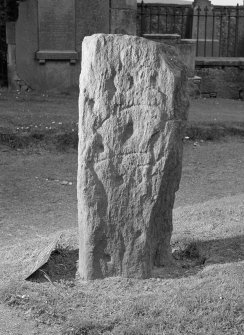 View of reverse of Pictish symbol stone, Dingwall churchyard.