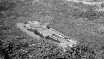 Skye, Skeabost Island Church and Churchyard.
General view of effigy of knight/kilted warrior.