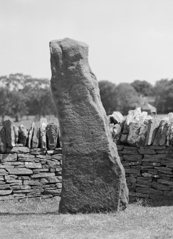 View of Aberlemno no.4 possible symbol stone.