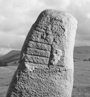 Detail of standing stone with Pictish symbols, Peterhead Farm, Blackford.