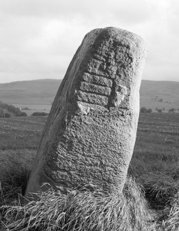View of standing stone with Pictish symbols, Peterhead Farm, Blackford.