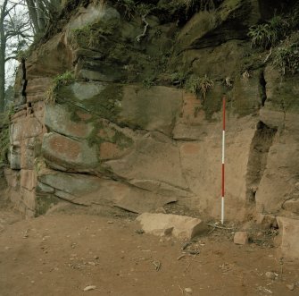 Ballochmyle. Detail of the area of carving situated between the two main panels.