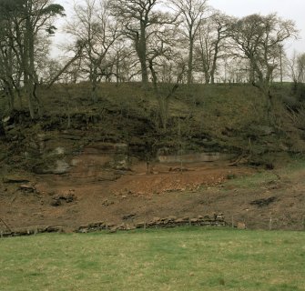 General view of Ballochmyle outcrop from the south east.