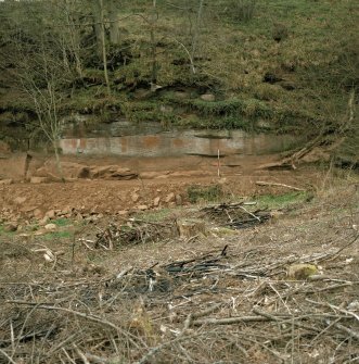 General view of the north-east panel at Ballochmyle.