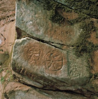 Ballochmyle. Ringed stars situated between the two main panels.