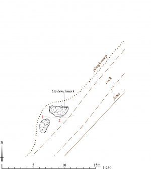 RCAHMS publication drawing: Adobe Illustrator plan of Auchmaliddie recumbent stone circle