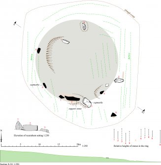 400dpi copy of GV004614. Adobe Illustrator plan of Balquhain RSC - See free Great Crowns of Stone Gazetteer pdf