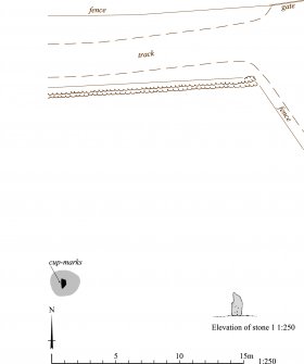 RCAHMS publication drawing: plan of Johnston, the Ringing Stone 