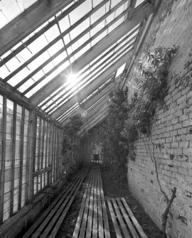 Interior. View of greenhouse in walled garden from ENE