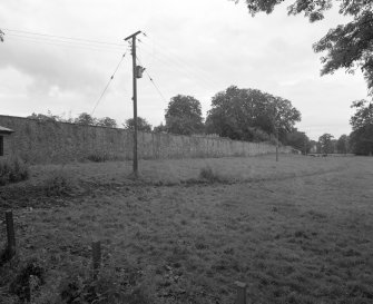 Garden wall, view from NE