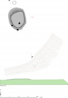 HES, Survey and Recording Illustration. Deer Park stone circle, plan 1:250