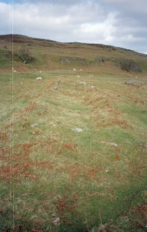 Leataidh: view of byre-dwelling (Rog95 709) from W