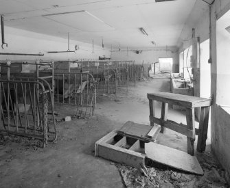 Milking shed, interior view from SW