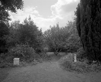 View of garden from North West