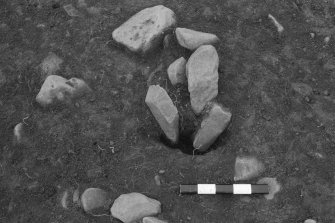 F1545  Half-section with possible post-hole to left of scale, from SW