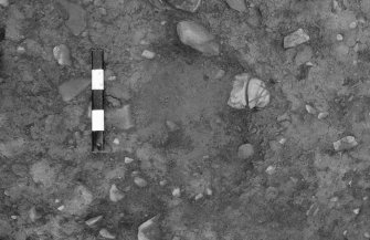 Area 1 F1058  Pre-excavation, from N