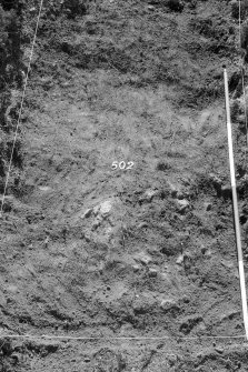 Excavation photograph : area V - f502, from north (detail).