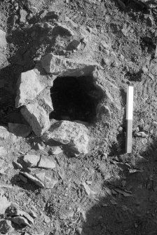 Excavation photograph : area II - f219 vertical.