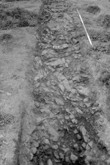 Excavation photograph : area IV - f402 natural in west third of area, from west.