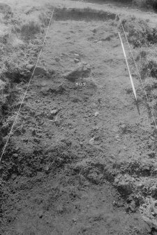 Excavation photograph : area V - f503, from north.