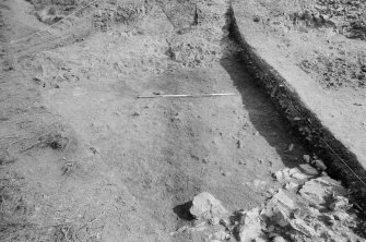 Excavation photograph : area II - f214, looking east.