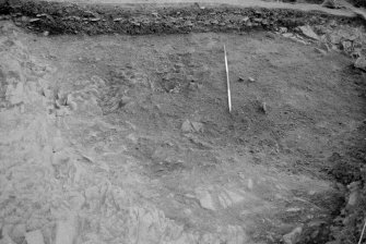 Excavation photograph : area II - f216, looking east (northern half).