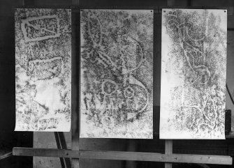 Photographic copy of six rubbings showing details of Pictish symbols carved on the walls of the Sliding Cave, East Wemyss.