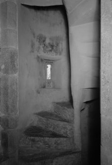 Interior view of newel stair, Auchanachie Castle.