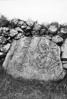 View of symbol stone built into stone dyke.
Original half-plate glass negative captioned: 'Sculptured Stone at Brandbutt Inverurie 1902'.
No month given but presumably December.
