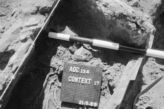 Excavation photograph.
Burial 17.