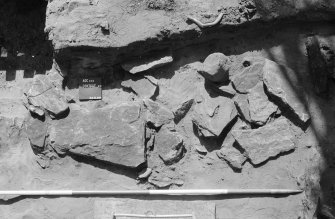 Excavation photograph.
Burial 20.