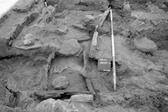 Excavation photograph.
Burials 12 and 19.