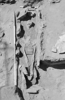 Excavation photograph.
Burials 16A and 16B.
