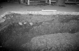 Excavation photograph.
