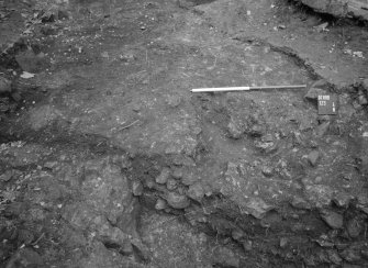 Excavation photograph : record shot, looking north.