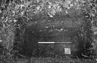 Excavation photograph : record shot, looking north.