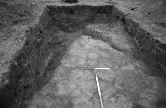 Newhall Point excavation archive
Frame 6: Trench D: F213.
