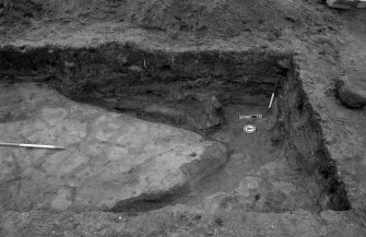 Newhall Point excavation archive
Frame 8: Trench D: F213.
